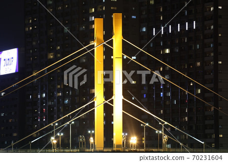 Illumination of the Sumida River Bridge that creates a lively waterside "Shinohashi" 70231604