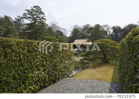 Katsura Rikyu Sumiyoshi's pine and Matsunokotei Katsura Rikyu Sumiyoshi's pine and Matsunokotei 70231975