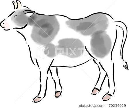 2021 New Year's card material for the year of the ox, male dairy cow, hand-painted cow Holstein 70234029