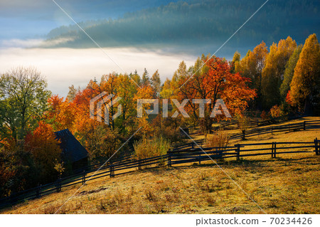 stunning rural landscape. foggy scenery at sunrise in autumn season. trees on mountain hills in colorful foliage. fence on the hillside 70234426