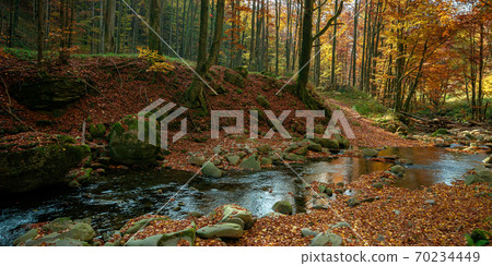 mountain river in autumn forest. rocks and fallen foliage on the shore. trees in yellow and red foliage. gorgeous nature autumnal scenery 70234449