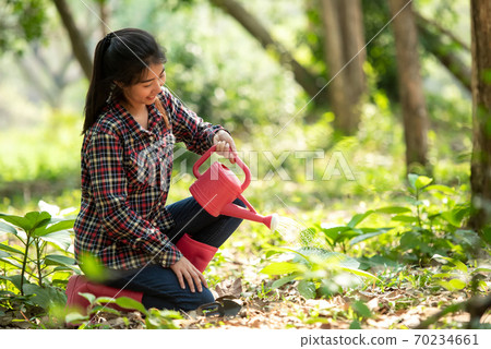 Asian young woman help afforest and water the plant with sapling tree outdoors 70234661