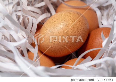 雞蛋，碎紙條，鳥巢，卵、細断紙、鳥の巣、Eggs, shredded paper, 70234764