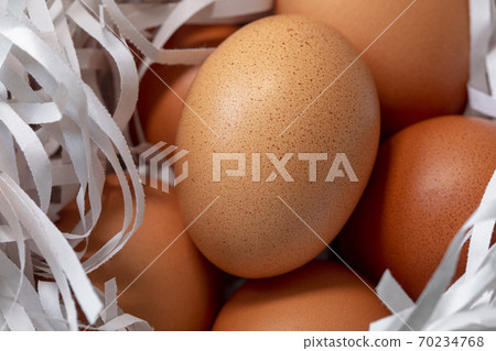Eggs, shredded paper, bird’s nest, eggs, shredded paper, bird's 巣, Eggs, shredded paper, Eggs, shredded paper, bird’s nest, eggs, shredded paper, bird's 巣, Eggs, shredded paper, 70234768