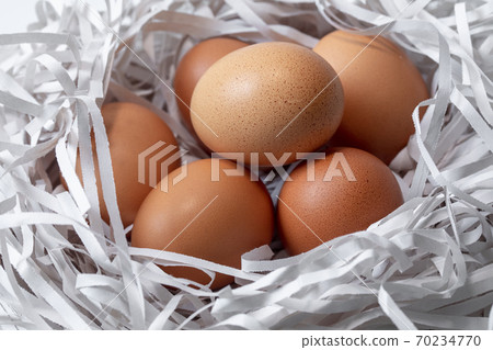 雞蛋，碎紙條，鳥巢，卵、細断紙、鳥の巣、Eggs, shredded paper, 70234770