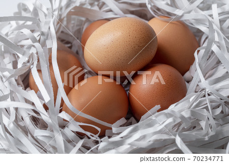 雞蛋,碎紙條,鳥巢,卵、細断紙、鳥の巣、Eggs, shredded paper, 雞蛋,碎紙條,鳥巢,卵、細断紙、鳥の巣、Eggs, shredded paper, 70234771