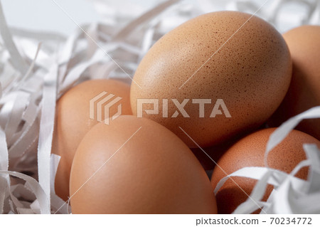 雞蛋，碎紙條，鳥巢，卵、細断紙、鳥の巣、Eggs, shredded paper, 70234772