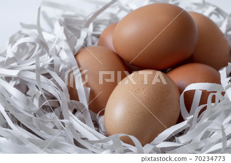 雞蛋，碎紙條，鳥巢，卵、細断紙、鳥の巣、Eggs, shredded paper, 70234773