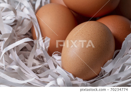 雞蛋，碎紙條，鳥巢，卵、細断紙、鳥の巣、Eggs, shredded paper, 70234774