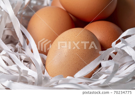 雞蛋，碎紙條，鳥巢，卵、細断紙、鳥の巣、Eggs, shredded paper, 70234775