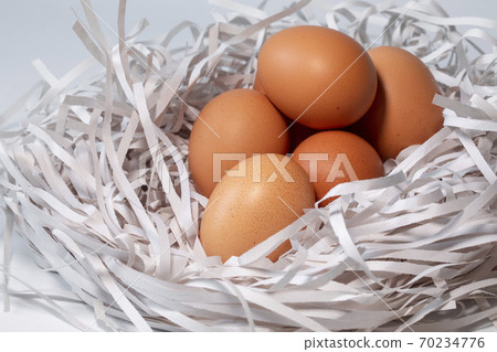 雞蛋，碎紙條，鳥巢，卵、細断紙、鳥の巣、Eggs, shredded paper, 70234776