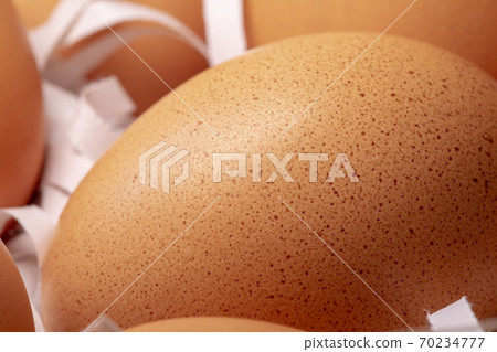 雞蛋，碎紙條，鳥巢，卵、細断紙、鳥の巣、Eggs, shredded paper, 70234777