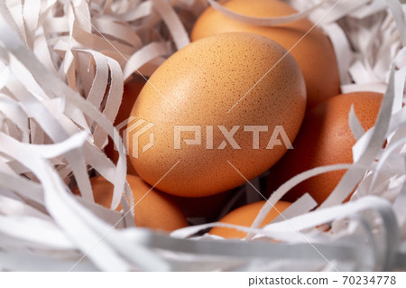 雞蛋，碎紙條，鳥巢，卵、細断紙、鳥の巣、Eggs, shredded paper, 70234778