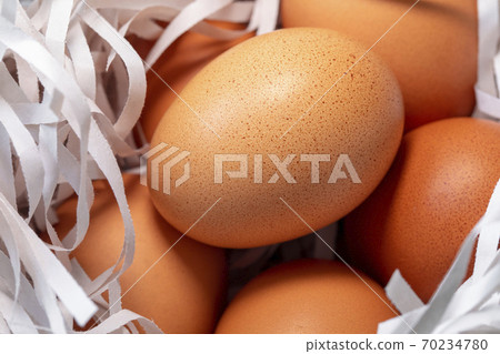 雞蛋，碎紙條，鳥巢，卵、細断紙、鳥の巣、Eggs, shredded paper, 70234780