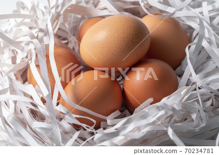 雞蛋，碎紙條，鳥巢，卵、細断紙、鳥の巣、Eggs, shredded paper, 70234781