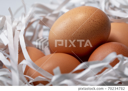 雞蛋，碎紙條，鳥巢，卵、細断紙、鳥の巣、Eggs, shredded paper, 70234782