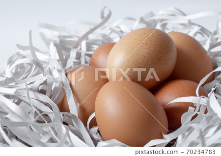雞蛋，碎紙條，鳥巢，卵、細断紙、鳥の巣、Eggs, shredded paper, 70234783