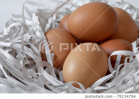 雞蛋，碎紙條，鳥巢，卵、細断紙、鳥の巣、Eggs, shredded paper, 70234784