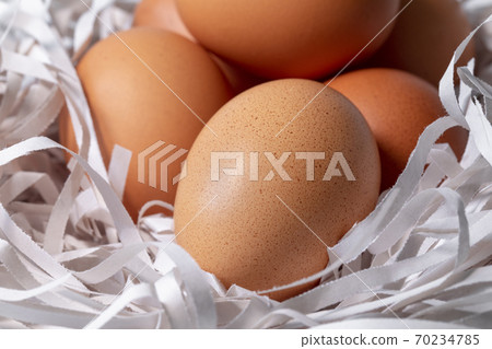雞蛋，碎紙條，鳥巢，卵、細断紙、鳥の巣、Eggs, shredded paper, 70234785