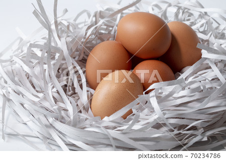 雞蛋，碎紙條，鳥巢，卵、細断紙、鳥の巣、Eggs, shredded paper, 70234786
