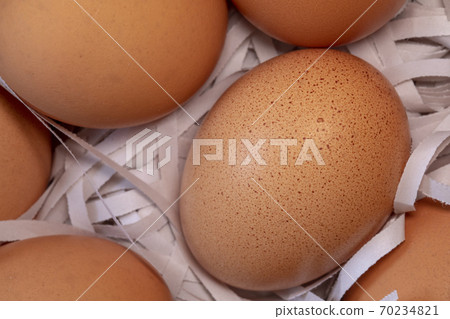 Eggs, shredded paper, pads, eggs, shredded paper, パッド, Eggs, shredded paper, pads, Eggs, shredded paper, pads, eggs, shredded paper, パッド, Eggs, shredded paper, pads, 70234821