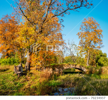 Demidovsky Park in autumn Taitsy, Russia 70234937