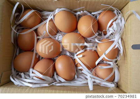 紙盒，雞蛋，碎紙條，カートン、卵、細断紙、Carton, eggs, shredded paper, 70234981