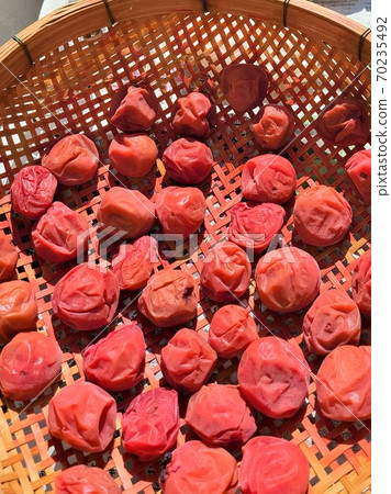 梅干自製 70235492