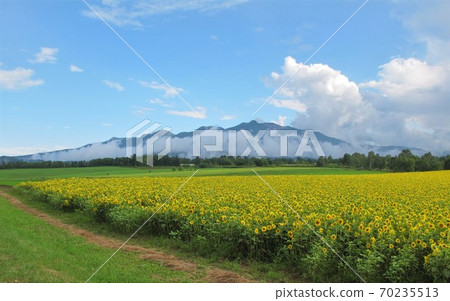 Asahidake from Daisetsu no Mori Garden 70235513