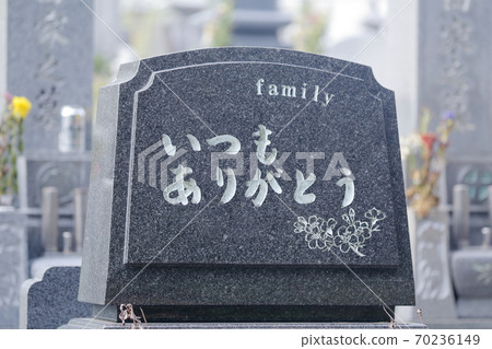 嚴重的石頭總是謝謝 嚴重的石頭總是謝謝 70236149