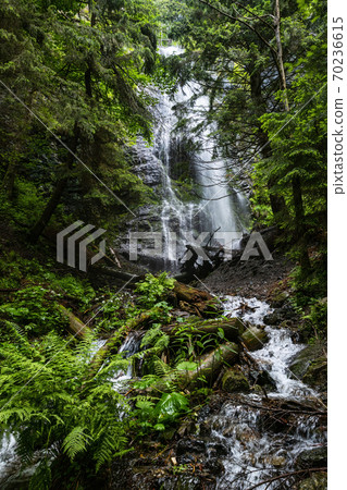 Yalyn waterfall, highest waterfall in Ukrainian Carpathian Mountains. 70236615