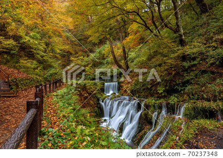 Small waterfalls around Shiraito waterfall during autumn season at Karuizawa, Japan. Small waterfalls around Shiraito waterfall during autumn season at Karuizawa, Japan. 70237348