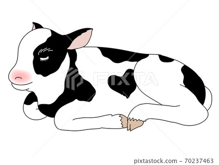 2021 New Year's card material for Ox, cute illustration of cow, heart-shaped cow child 2021 New Year's card material for Ox, cute illustration of cow, heart-shaped cow child 70237463