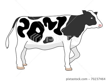 2021 New Year's card material for the year of Ox Cute illustration of cows 2021 with cow patterns 2021 New Year's card material for the year of Ox Cute illustration of cows 2021 with cow patterns 70237464