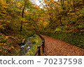 karuizawa, waterfall, fall 70237598