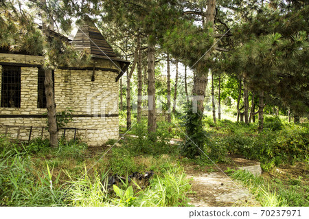 Old house in the forest 70237971