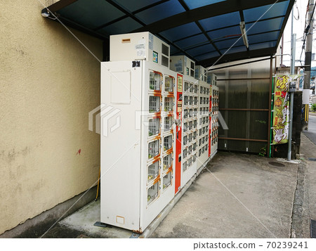 由農民直接銷售自動販賣機,用於新鮮採摘的蔬菜 由農民直接銷售自動販賣機,用於新鮮採摘的蔬菜 70239241