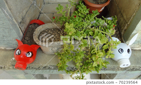 Colorful funny handmade plastic flowerpot at the green nature Colorful funny handmade plastic flowerpot at the green nature 70239564