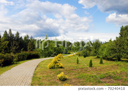 Beautiful park with green thuja, nature photo. Beautiful park with green thuja, nature photo. 70240418