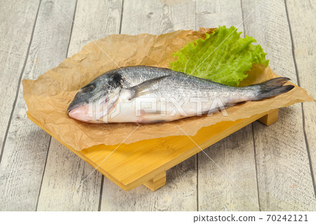Raw Dorada fish  for cooking 70242121