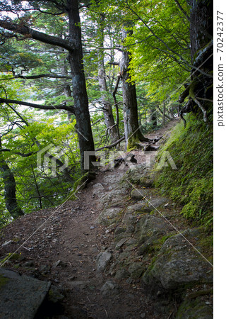 在國家公園的日光子周圍的日光/湯子湖岸徒步旅行 70242377