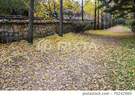 See the folk village 70242860