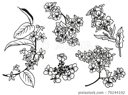 Set of hand drawn tiny flowers and leaves 70244192