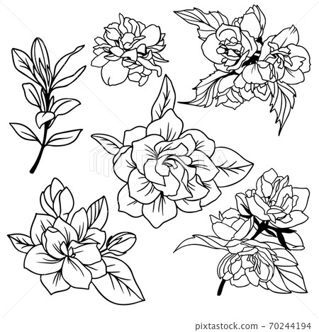 Lush spring flowers with leaves, vector art Lush spring flowers with leaves, vector art 70244194