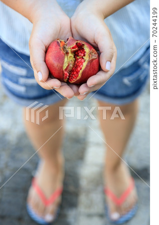 in female hands ripe juicy pomegranate fruit. Copy space. View from above. in female hands ripe juicy pomegranate fruit. Copy space. View from above. 70244199