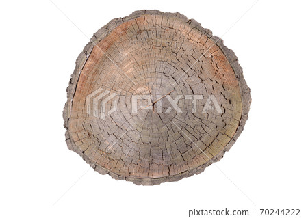 Wood log isolated on white background. Wood log isolated on white background. 70244222
