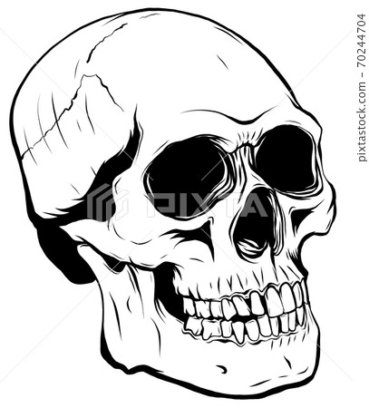 outline graphics vector illustration skull in black 70244704