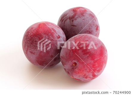 Plum 70244900