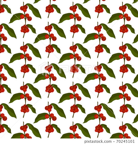 coffee tree seamless pattern, vector color illustration 70245101