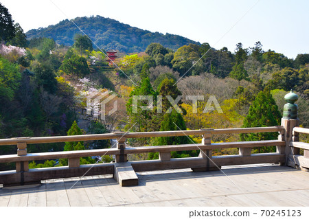 春季清水寺安康塔 70245123